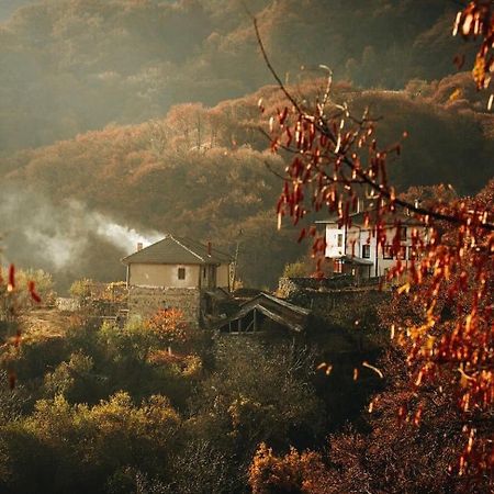 Yancheva Guest House Delchevo エクステリア 写真
