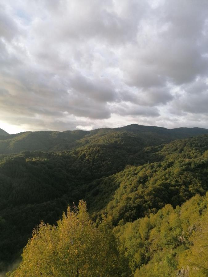 Yancheva Guest House Delchevo エクステリア 写真