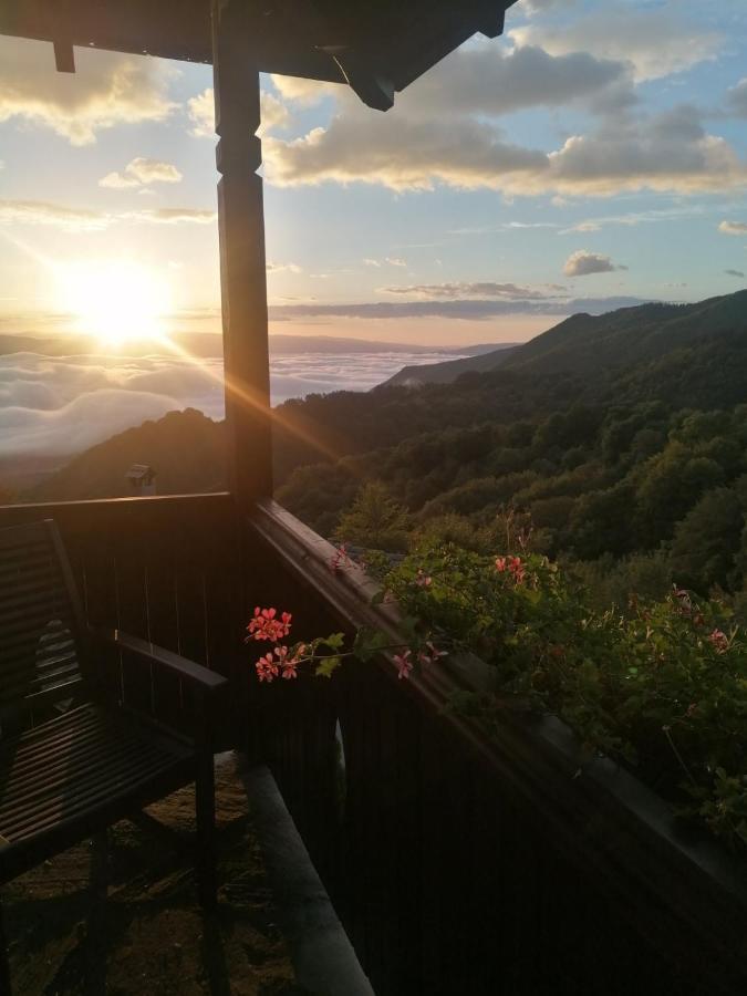 Yancheva Guest House Delchevo エクステリア 写真
