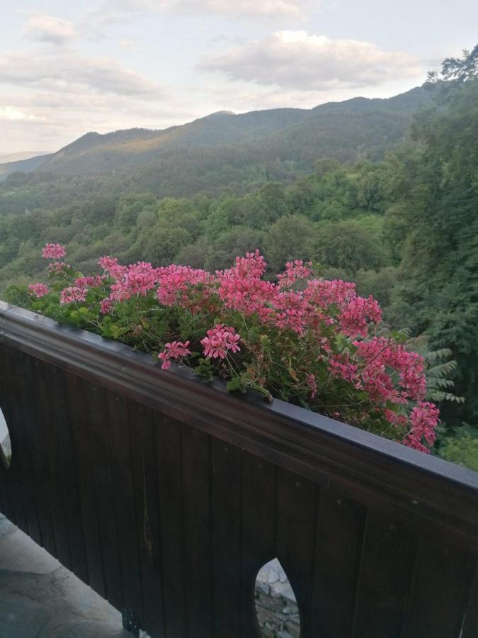 Yancheva Guest House Delchevo エクステリア 写真