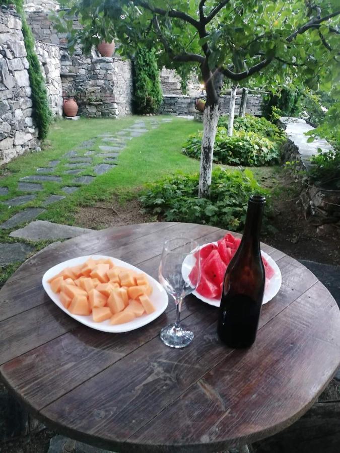 Yancheva Guest House Delchevo エクステリア 写真