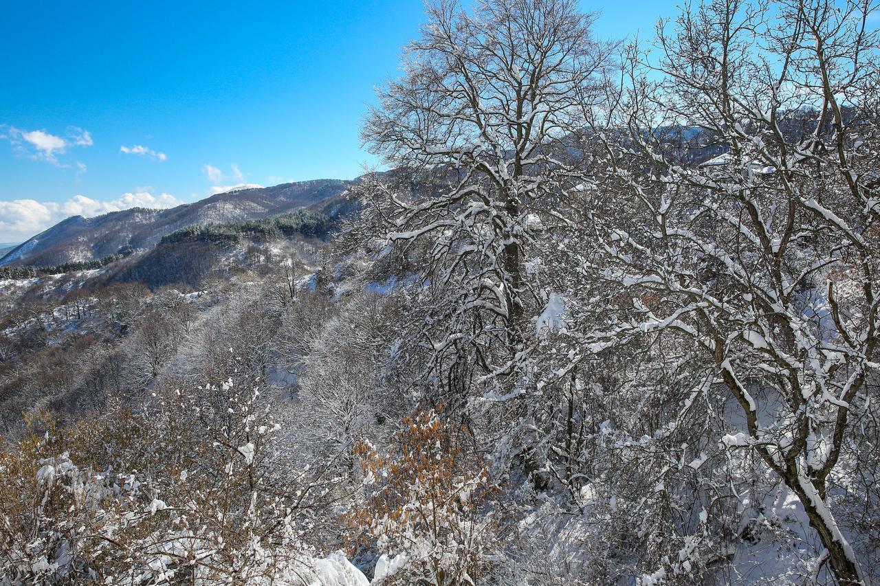 Yancheva Guest House Delchevo エクステリア 写真